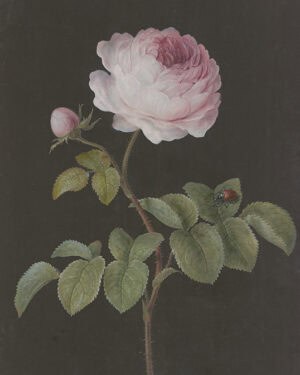 Moody flower artwork